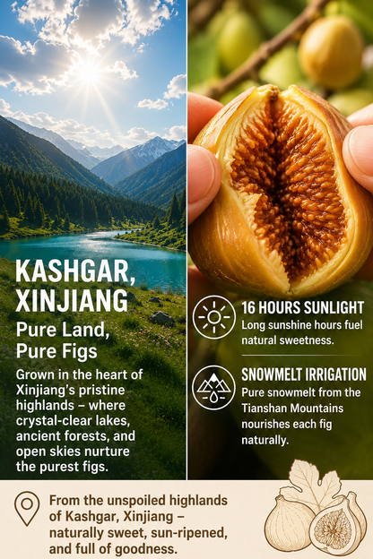 Natural Sun-Dried Figs – Sweet & Chewy Healthy Fruit Snack