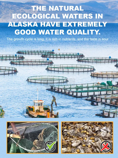 Buy 3 Get 1 Free Alaskan Snow Crab Ready-to-EatCrispy Crab 8HZAN8